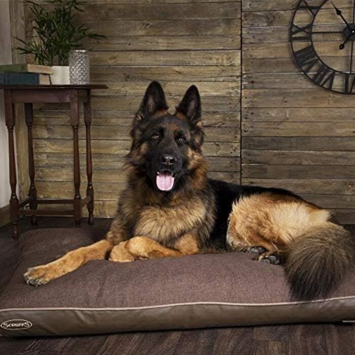 Лежак для собак Scruffs Hilton Memory Foam шоколадний, 100x70x6 см, середній розмір, ортопедичний матрац