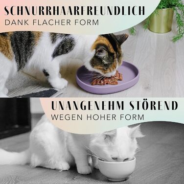 Миска для котів [nala Collection] - широка силіконова миска для корму | миска для котячого корму | силіконова тарілка для котів (холодний ліловий)