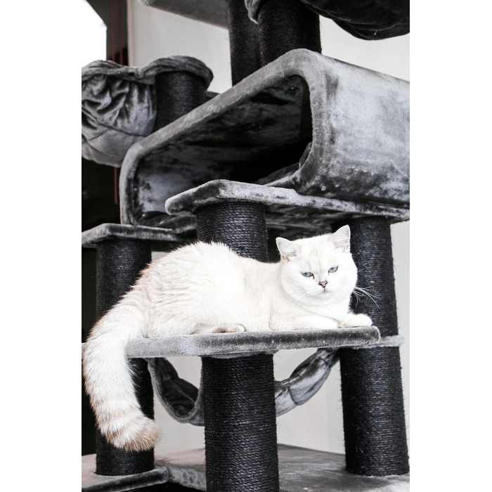 Дряпальня для котів Petrebels Maine Coon XXL, 210 см, з сизалю, чорного кольору