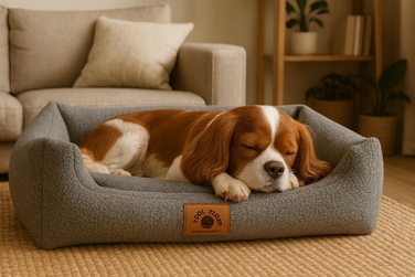 Плюшевий диван для собак Odol, сірий, 70 x 60 см