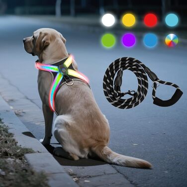 LED нашийник для собак з повідком, світловідбиваючий, перезаряджуваний, для нічних прогулянок