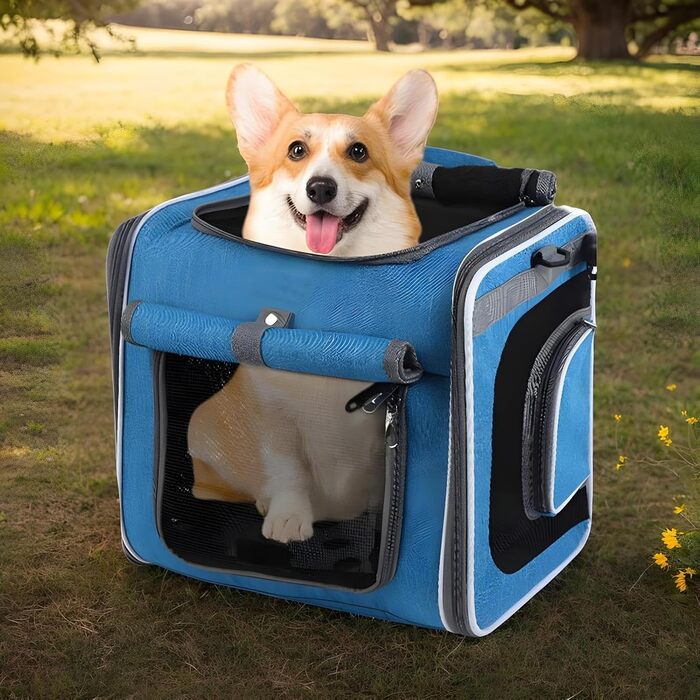 Корзина для собак на велосипед - зручна переносна сумка з вентиляцією для прогулянок, подорожей та активного відпочинку