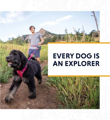 Шлея для собак RUFFWEAR Front Range, світловідбиваюча, з м'якою підкладкою, проти ривків, синя, розмір XS
