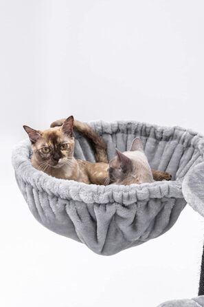 Дизайнерський кутовий когтеточка Petrebels Catharina 160 см для великих котів, преміум-якість, з XXL гамаком і котячим будиночком, сірий