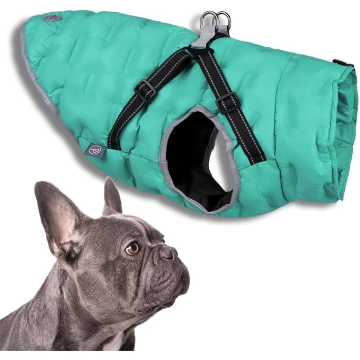 Водонепроникна тепла куртка для собак 2-в-1 з інтегрованою шлейкою – Зимова куртка для собак з відбиваючими елементами, вітронепроникна, для осені та зими (XXL, блакитний)