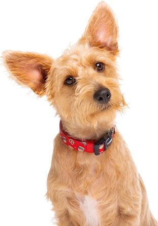 Нашийник для собак DUKIER, регульований, з неопрену, міцний, дизайн New York, розмір XS