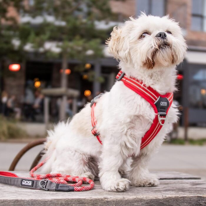 Шлея для собак DOG Copenhagen Comfort Walk Air V2, червона, XL