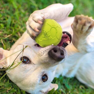 Іграшка для собак Nerf Dog, м'яч-брязкальце 9,7 см, зелений, для апорту, для середніх і великих порід, для дому та вулиці