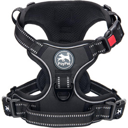 колір: грюн