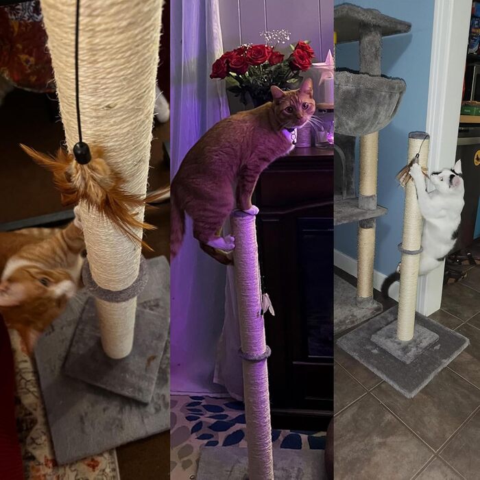 Котячий дряпак HUTPET 86,4 см, подвійна основа, посилений, сірий, з сизалем і іграшкою-пружинкою для домашніх котів