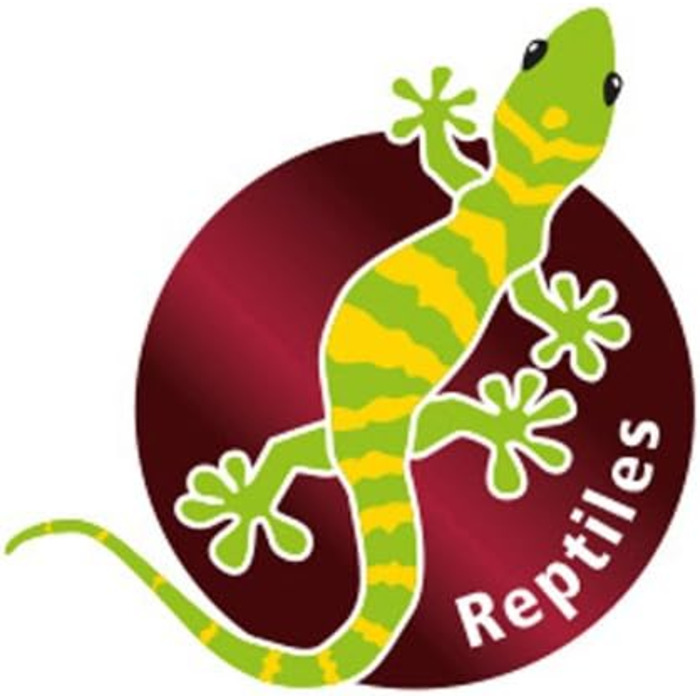 Дрібничка для хобі Hobby Stump - 27,6 x 19,4 x 7,4 см, 1 шт.