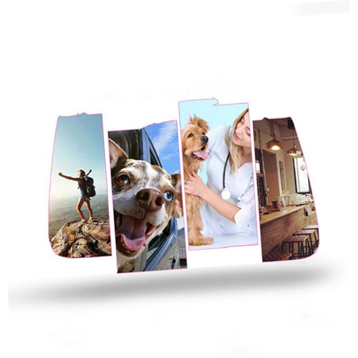 Рюкзак для вигулу собак і котів LOLIPPYY, великий, дихаючий, блакитний