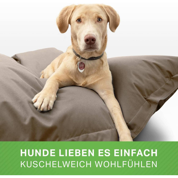 Ліжко для собак середніх та великих порід 140x180 см: подушка, килимок, місце для сну, ліжко для тварин, диван для собак, ліжко для сну, матрац для собак. Бежевий колір.