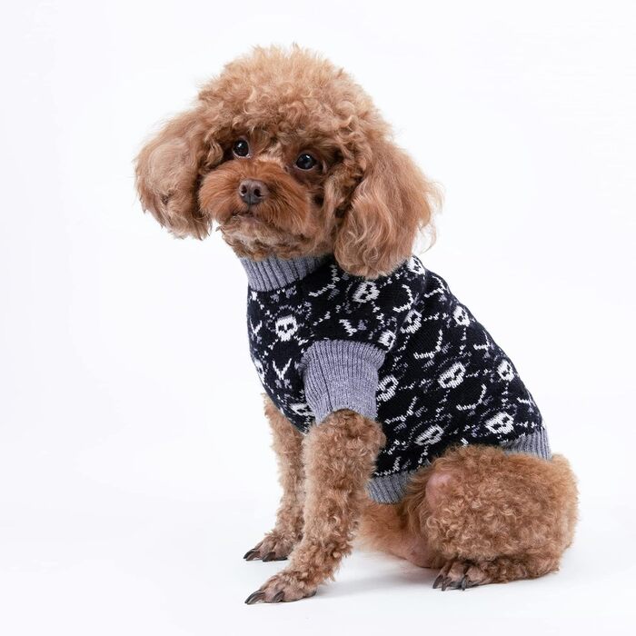 Светр на Halloween для собак Cutebone з принтом піратського черепа, одяг для маленьких собак, зручні світшоти, нашийник для повідка DS39L-DE L