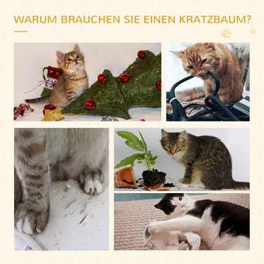 PawHut стайня котяче дерево, вантажопідйомність 15 кг, котячі сходи 3 сходинки, бежевий, сірий, 48,5 х 48,5 х 100 см | Аосом