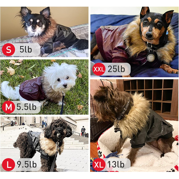 LESYPET Куртка для собак із натуральної шкіри, утеплена флісом, для маленьких собак, цуценят і котів, чорна, розмір XXL
