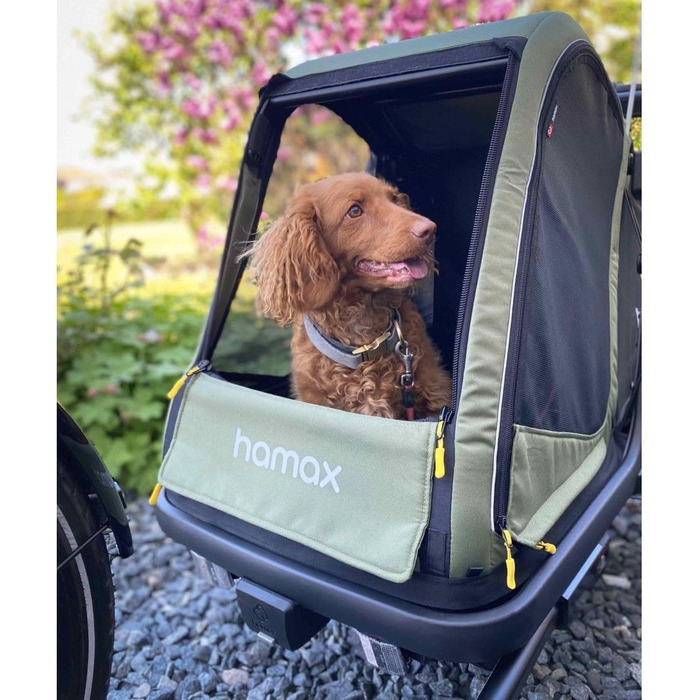 Hamax Pluto - велосипедний причіп для собак, зелений