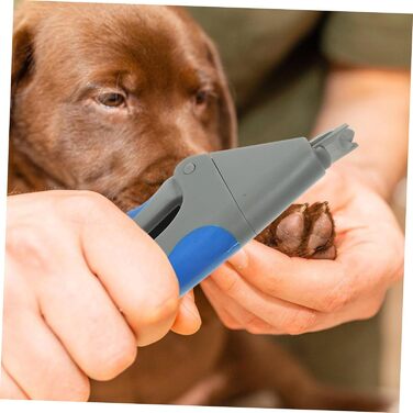 Інструмент для стрижки кігтів домашніх тварин Angoily - набір з 3 шт. з нержавіючої сталі, безпечний для котів та собак