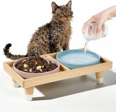 Підвищена годівниця для котів JAZUIHA з 2 широкими мисками, станція для годування з дерев'яною підставкою та силіконовою мискою, діаметр 18 см