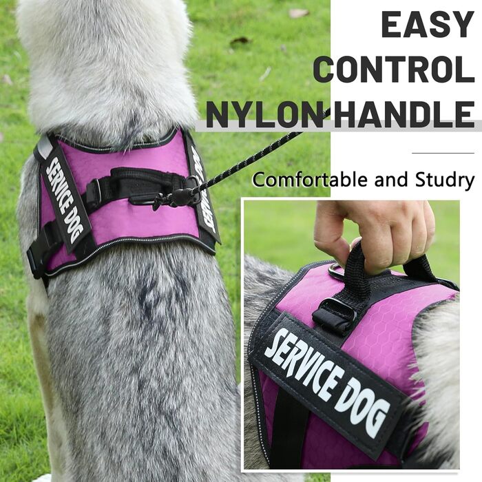 Шлейка для собак проти тяги, дихаюча, регульована, для прогулянок та тренувань, на груди, для вулиці, проста у використанні, для собак середніх, малих та великих порід (S, фіолетова)