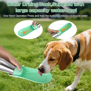 Водяна пляшка для собак на прогулянці - не протікає, з нержавіючої сталі, 750 мл