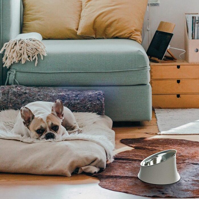 Тарілка для собак Alessi Wowl BM13/21, дизайн, 21 см, чорна, з нержавіючої сталі та термопластику