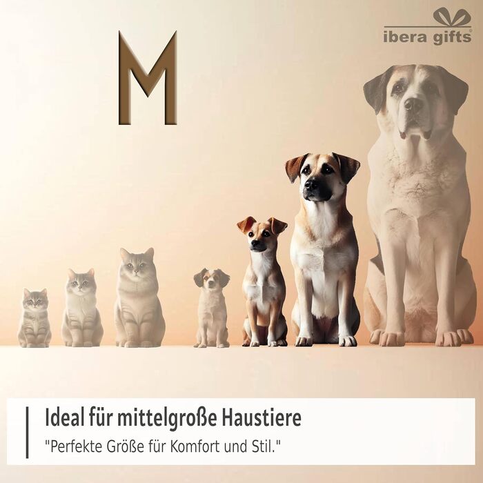 Персоналізований нашийник для собак, з іменем, середнього розміру, 35-50 см, світловідбиваючий (чорний, M)