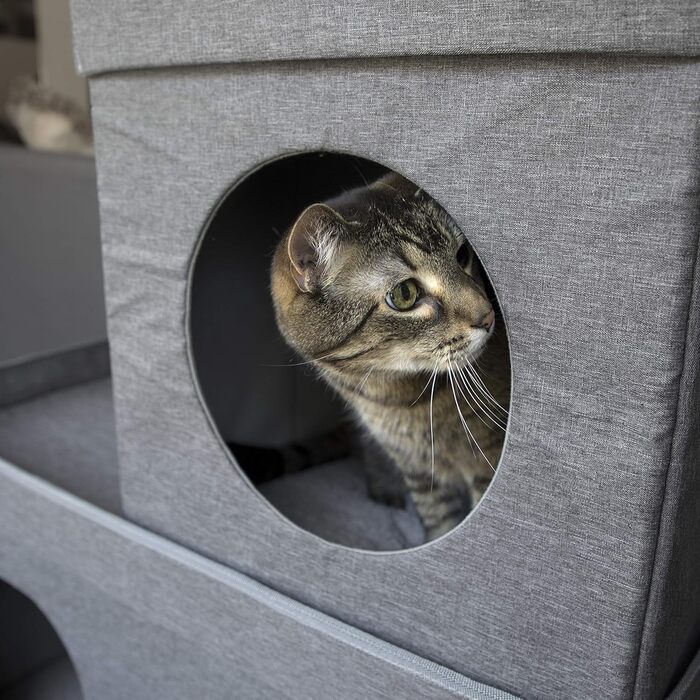 Великий багатофункціональний котячий будинок Kitty City: куб, кондо, пуф, складане ліжко
