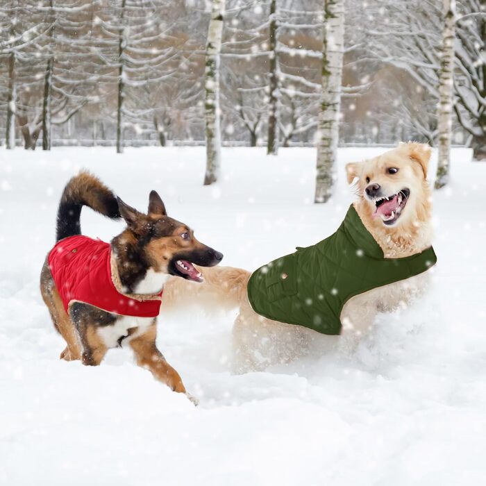 Зимовий теплий одяг для собак: куртка з флісу, підходить для чихуахуа та такс, з отвором для повідка, зелена, XS