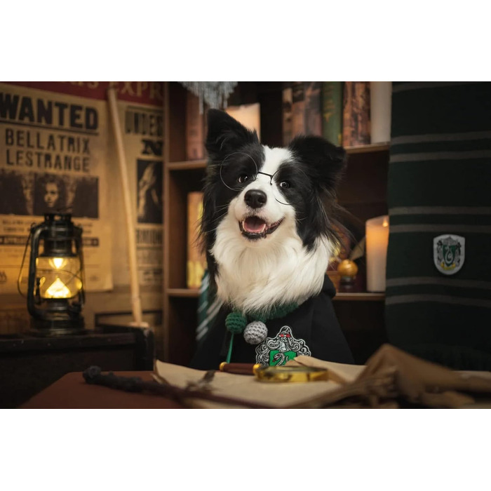 Костюм для собак та котів з окулярами та краваткою, косплей, Slytherin, розмір M