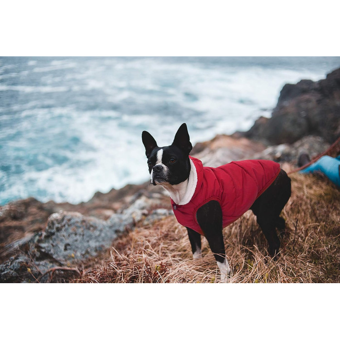 Теплий флісовий худі для собак SAWMONG, вітро- та водонепроникний, з підкладкою з флісу та бавовни, для великих та середніх порід, червоний (S)