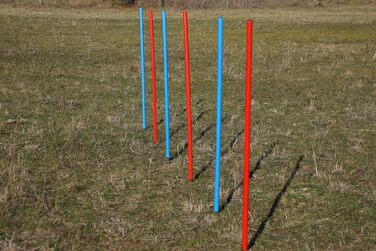 Набір для тренувань Wuzzmann Agility: Slalom з гнучких стержнів (6шт) синій/червоний