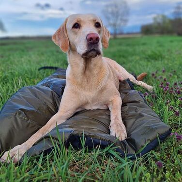 Килимок для собак Rommets Explorer - ультралегкий та водовідштовхувальний | Комфорт та практичність у подорожах | Ідеально для походів, кемпінгу та подорожей