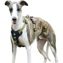 колір: зелений