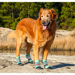 Чоботи для собак Bark Brite Allwetter Neopren, великий розмір, блакитний (з відбиваючими елементами)
