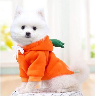 Теплий одяг для собак XIAOYU: Худі, світшот, куртка-комбінезон для цуценят на осінь/зиму з капюшоном у вигляді фруктів (капуста, морква, XXL)