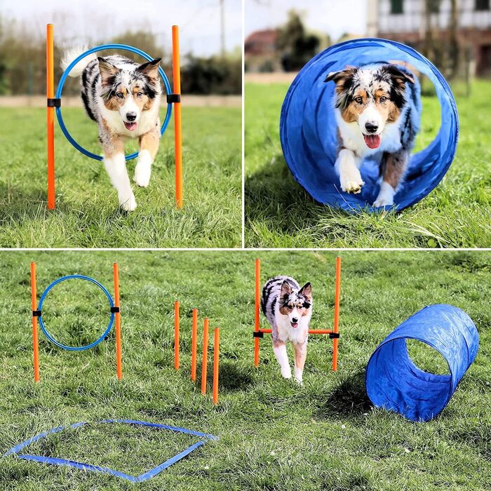 Набір для дресирування собак Vabiono Agility: тунель, обруч, бар'єри, слалом, стійки