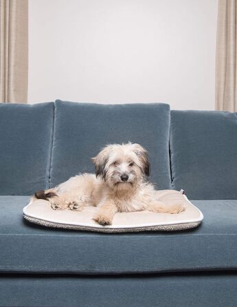 Подушка для собак Dog Gone Smart, розмір Berry (пісочний, 71.1 x 106.7 x 2.5 см)