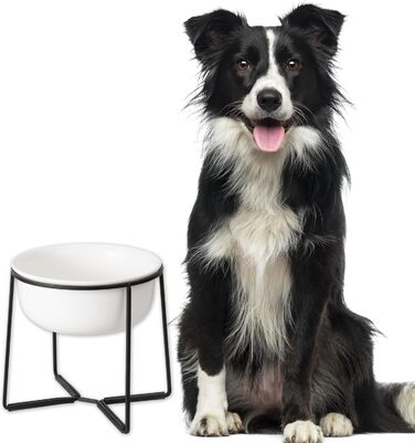 Підвищений керамічний миска для собак з металевим обідком - годівниця для котів та маленьких собак. Біла матова (XL)