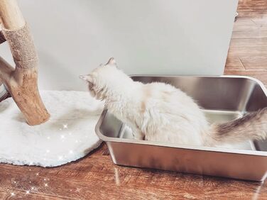 Великий лоток для котів і кроликів IKITCHEN з нержавіючої сталі 50×35×15 см, металевий туалет для тварин, без запаху, не залишає плям, антипригарна гладка поверхня, не ковзає, гумове дно