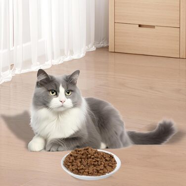 Набір мисок для котів з кераміки, 6 шт. - плоскі миски для котів та дрібних тварин, сучасний дизайн