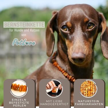 Намисто з бурштину для собак PetLove • 100% балтійський бурштин • Обов'язкове для собак та котів • Довжина: 50-55 см