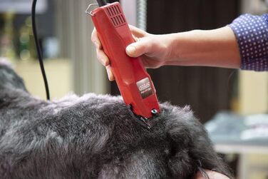 Машинка для стрижки Kerbl Favorita Speed для дрібних тварин, 230V