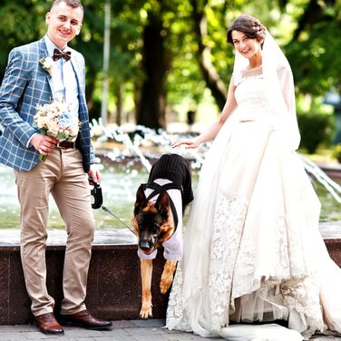 Смугастий костюм для собак ASENKU: смокінг з метеликом, формальний набір для свят, дня народження, чорний, XL-XXL