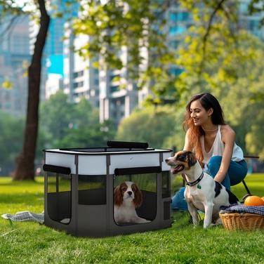 PawHut Puppy Run, манеж для цуценят з дверима, вікнами, складаний манеж, дихаюча сітка, для маленьких собак до 4 кг і дрібних тварин, в приміщенні та на вулиці, 74 x 60 x 45 см, сірий | Аосом