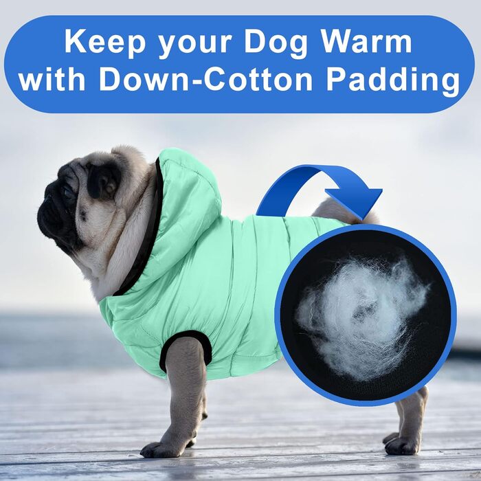 Ветровка для собак Pawtitas, вітронепроникна, водовідштовхувальна, чорно-блакитна, для великих порід, з кишенею, X-Large (упаковка 1)