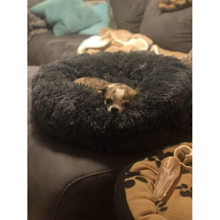 М'яке ліжко для собак Haoye, кругле лежанка для домашніх тварин, лежанка-пончик для котів та собак, миється, зручне ліжко для собак та котів (діаметр 50-120см / 7 розмірів), діаметр 70см (чорний, 80см)