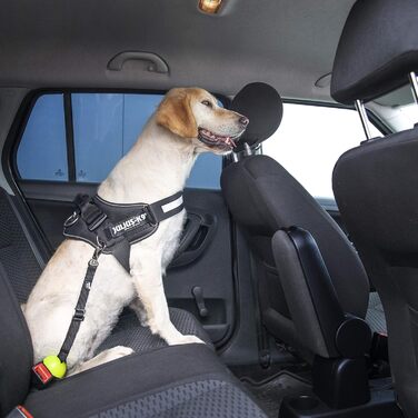 Автоматичний поводок Julius-K9 StopDog Autoleine для собак 0-300 кг, чорний з силіконовою накладкою