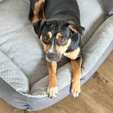 Квіткове ліжко для собак Teo 100x80 см, сіре - м'яке, знімний чохол, для собак середніх порід