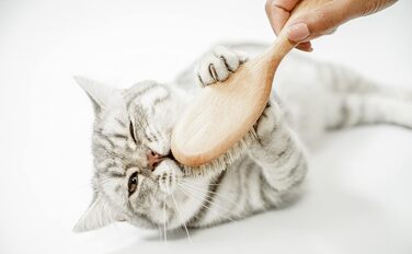 Щітка для котів LucyBalu® для короткої та довгої шерсті | Щітка для вичісування шерсті котів | Щітка для підшерстка котів | Гребінець для котів для догляду за шерстю | Щітка для шерсті тварин | Щітка для котів з щетиною та дерев'яною ручкою білого кольору